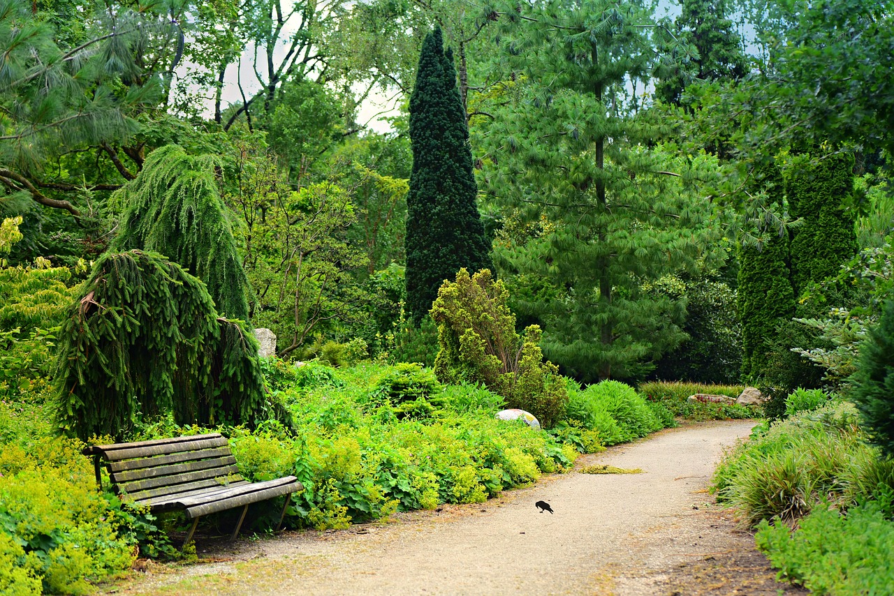 The social benefits of an urban park: Sustainable communities